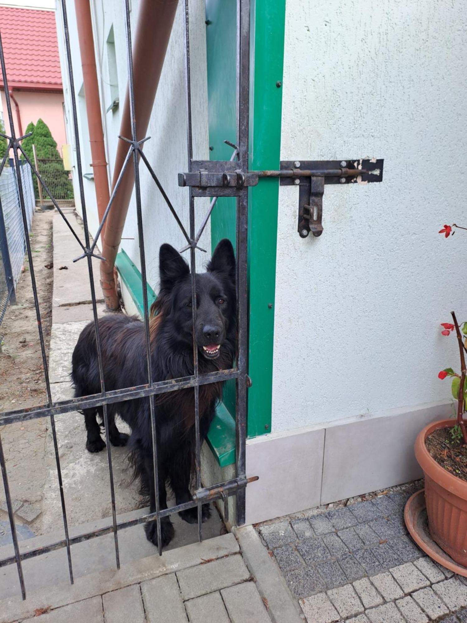 Pokoje Goscinne Zaglobianka Przemyśl Extérieur photo